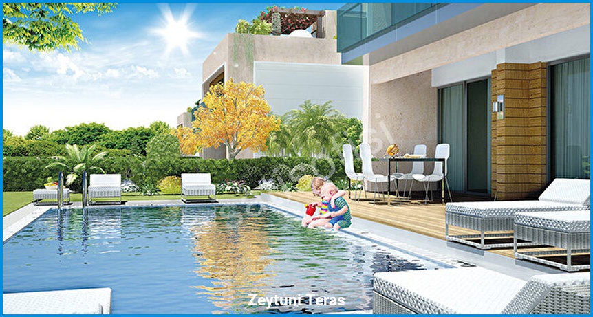 Zeytuni Teras 4