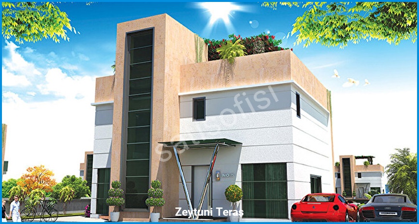Zeytuni Teras 6