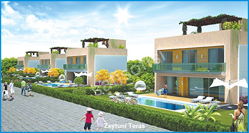 Zeytuni Teras 7