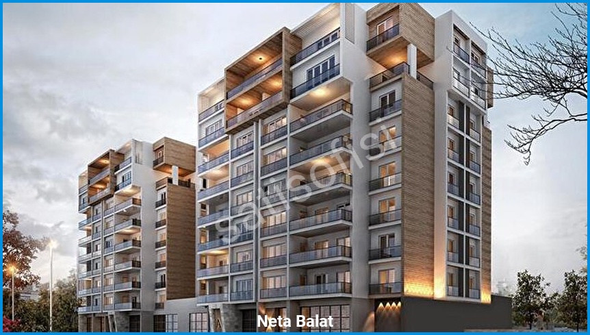 Neta Balat - Proje Görseli 1