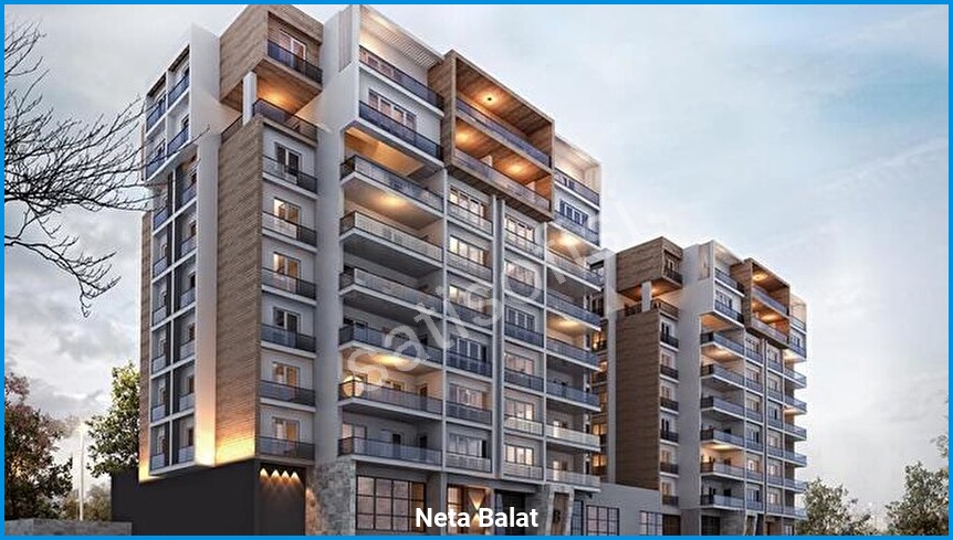 Neta Balat - Proje Görseli 2