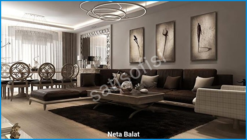 Neta Balat - Proje Görseli 3