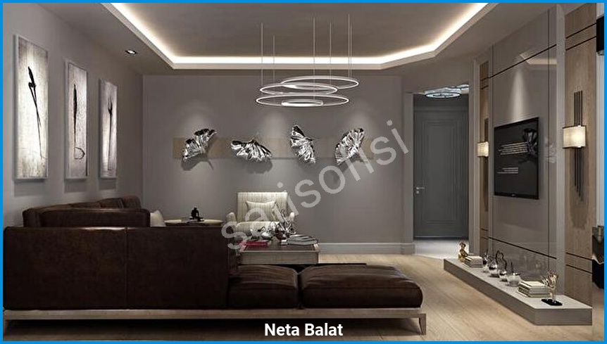 Neta Balat - Proje Görseli 4