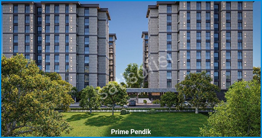 Prime Pendik 7