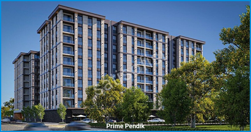 Prime Pendik 8