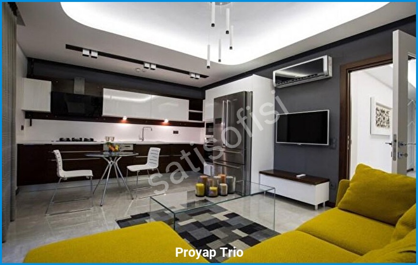 Proyap Trio 11