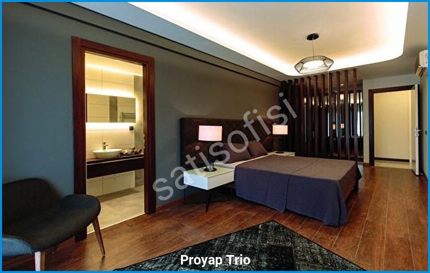 Proyap Trio 5