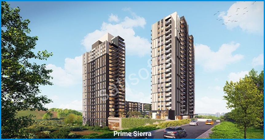 Prime Sierra