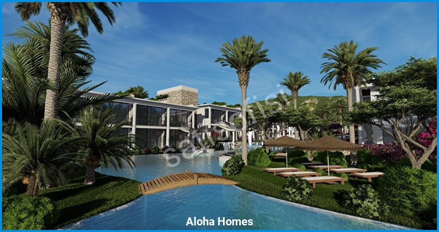 Aloha Homes görsel 13