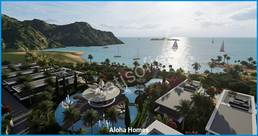 Aloha Homes görsel 14