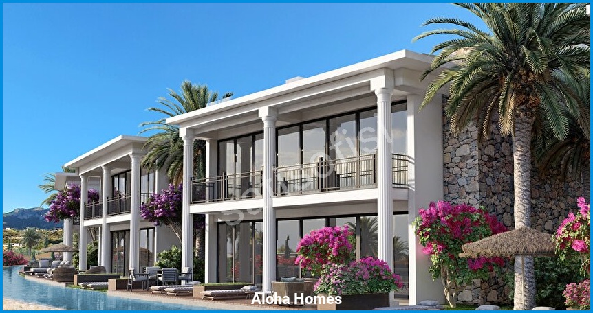 Aloha Homes görsel 19