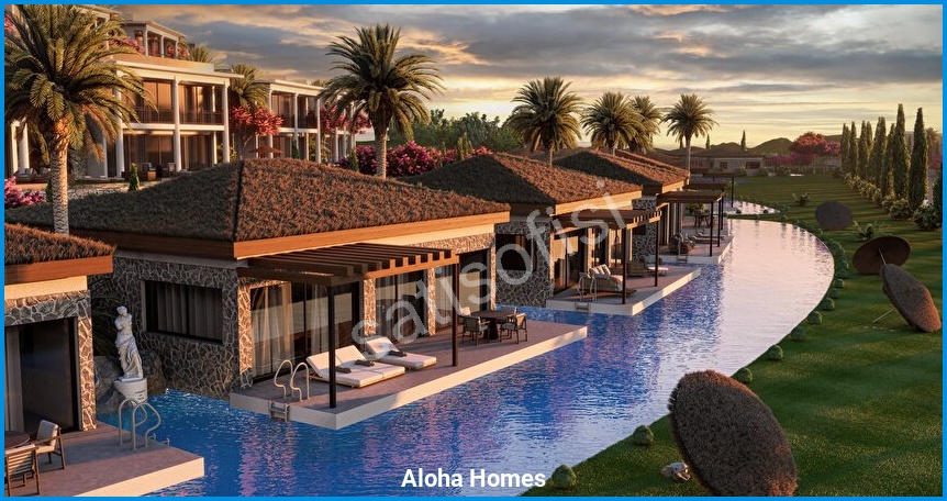 Aloha Homes görsel 2