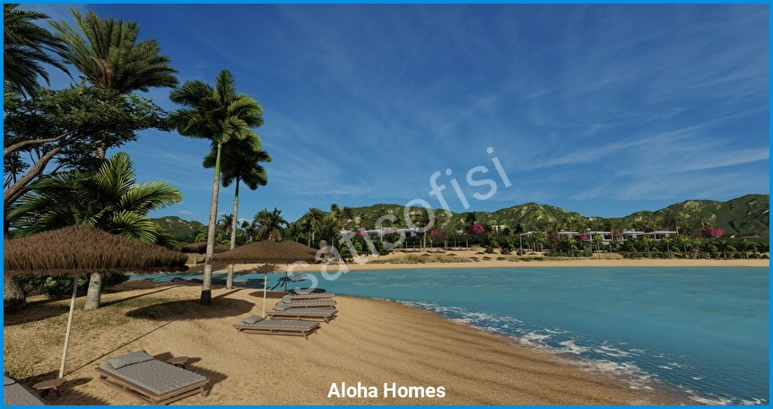 Aloha Homes görsel 5
