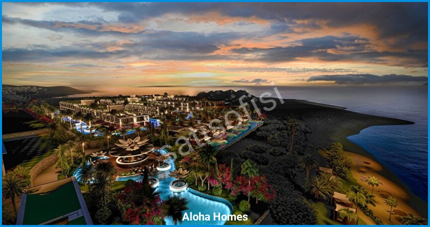 Aloha Homes görsel 7