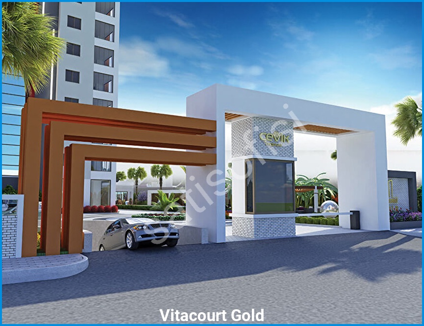 Vitacourt Gold 8