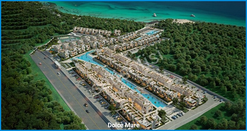 Dolce Mare