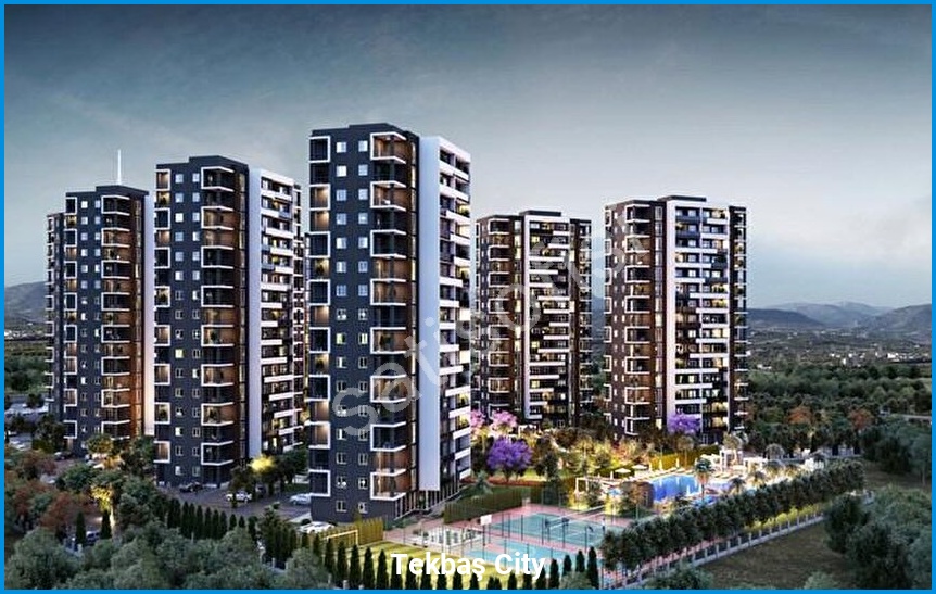 Tekbaş City 2