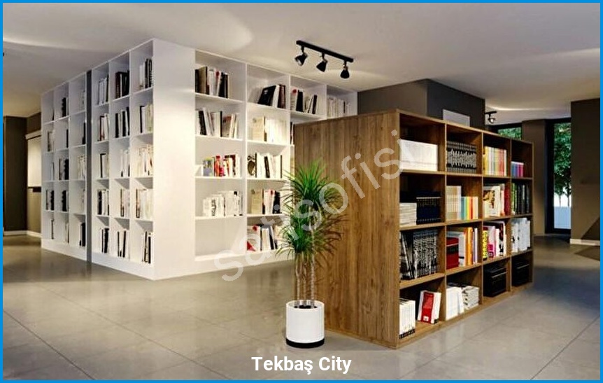 Tekbaş City 8