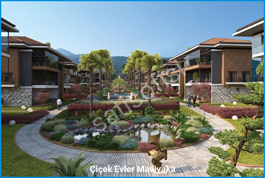 Çiçek Evler Maviyaka 3