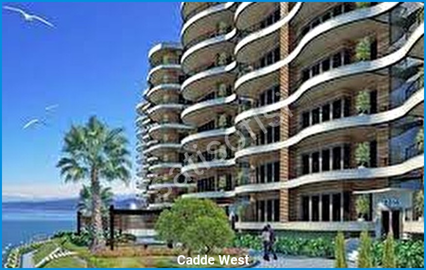 Cadde West 3