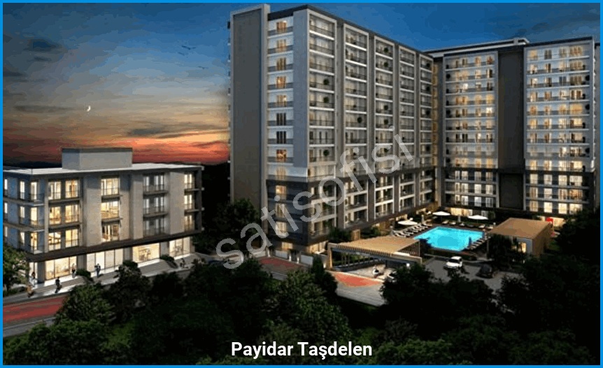 Payidar Taşdelen görsel 2