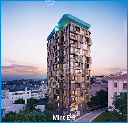Mint E-5
