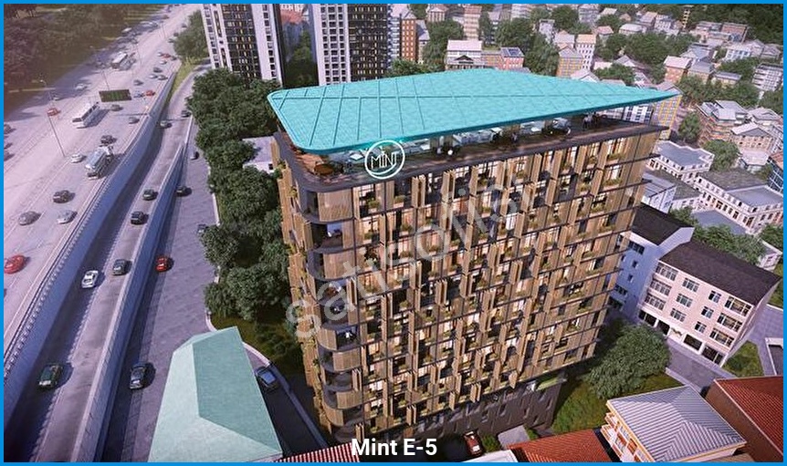 Mint E-5 3