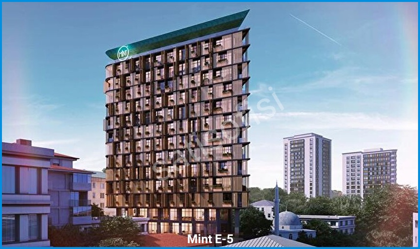 Mint E-5 4