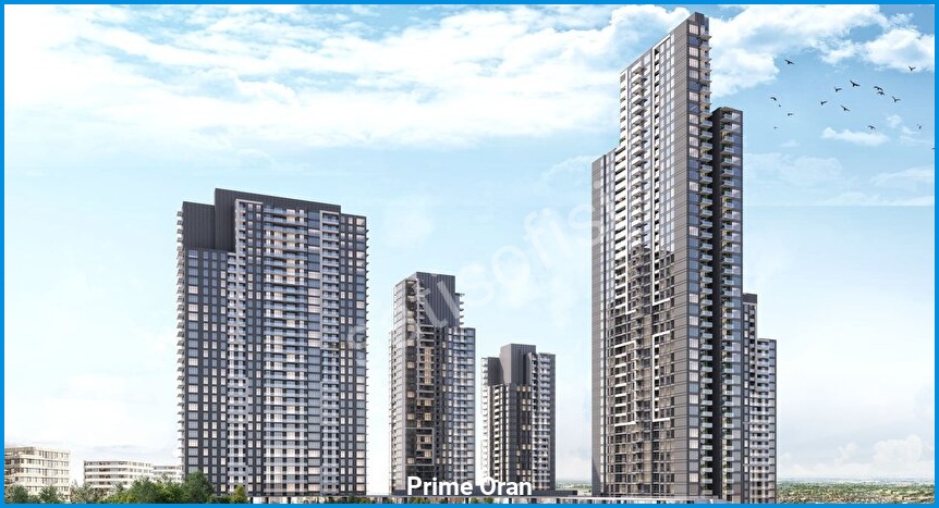 Prime Oran - Proje Görseli 3
