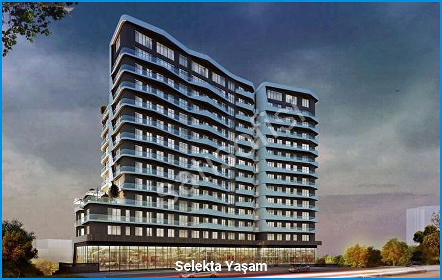 Selekta Yaşam 2