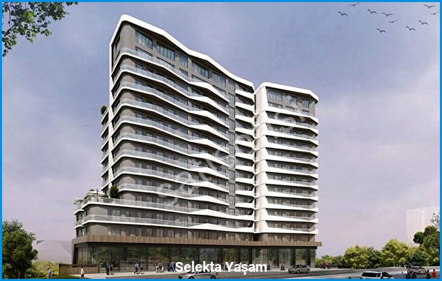 Selekta Yaşam 3