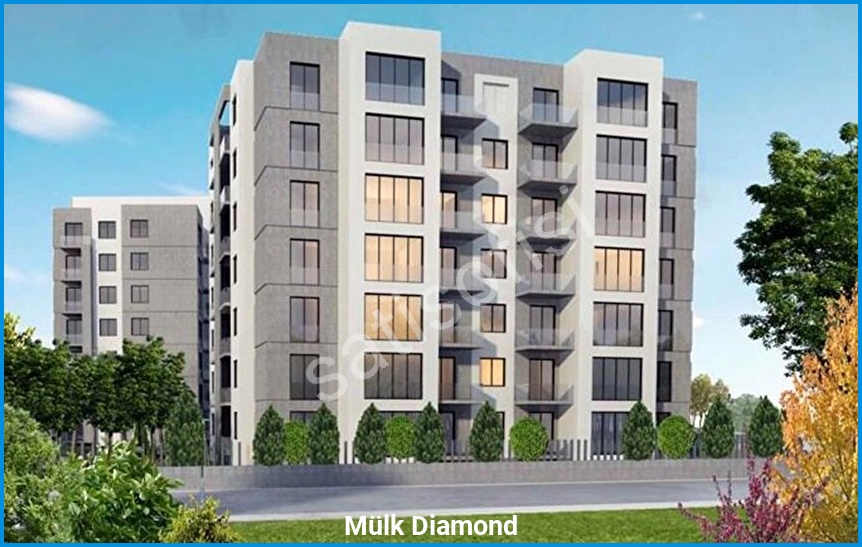 Mülk Diamond görsel 8