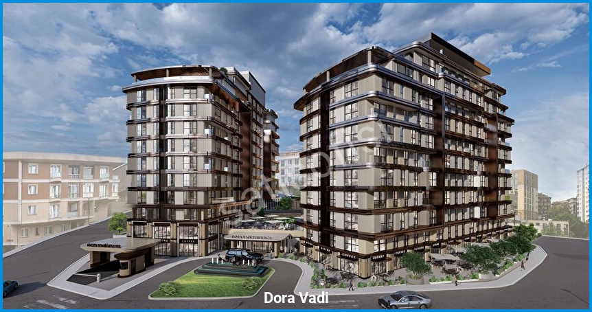 Dora Vadi - Proje Görseli 1