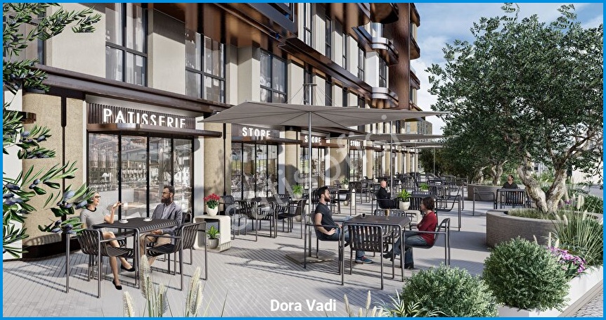 Dora Vadi - Proje Görseli 6