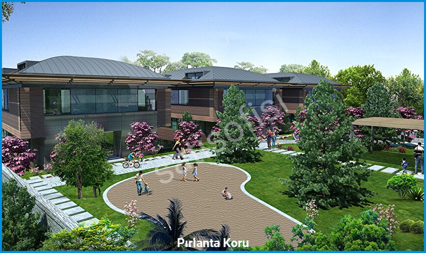 Pırlanta Koru