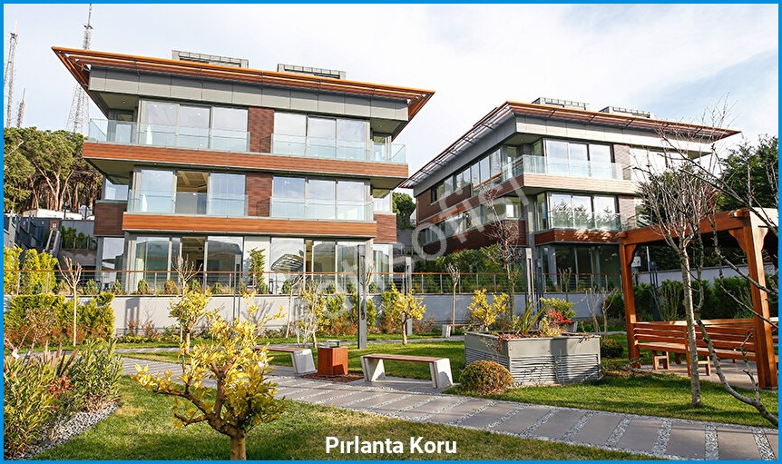 Pırlanta Koru 10