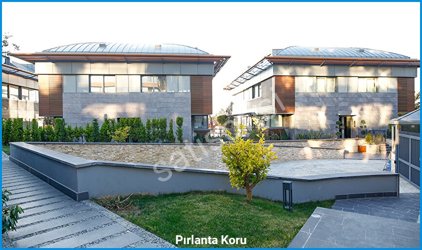 Pırlanta Koru 2