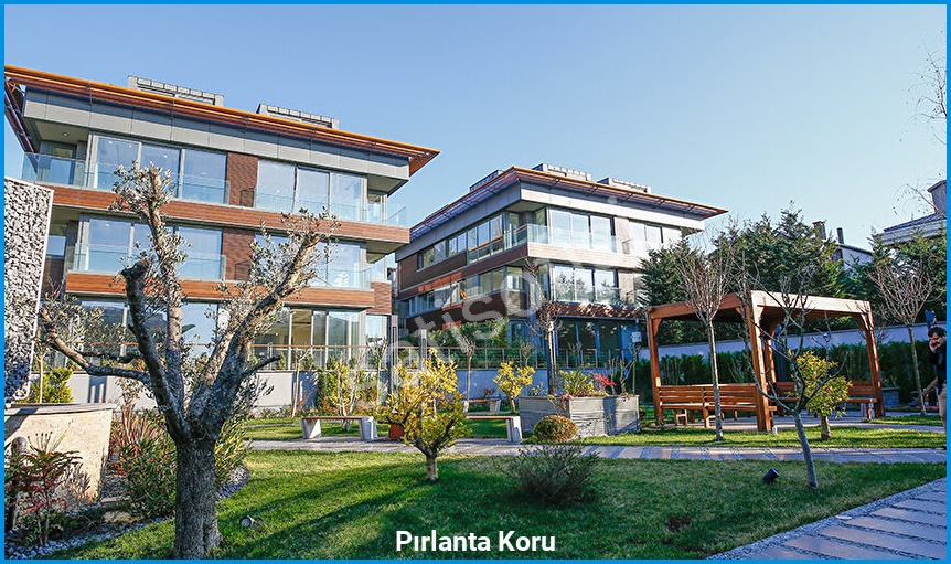 Pırlanta Koru 3