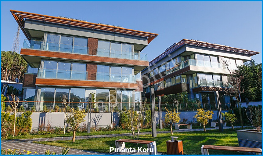 Pırlanta Koru 6