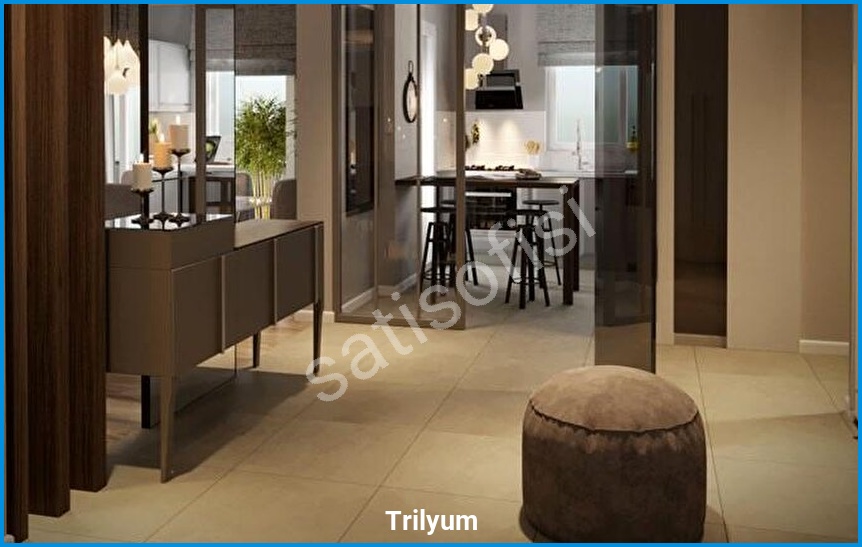Trilyum görsel 7