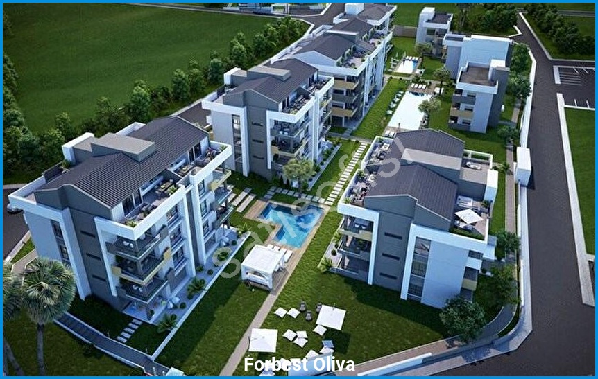 Forbest Oliva görsel 2