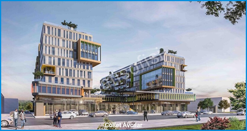 Collet Avcılar