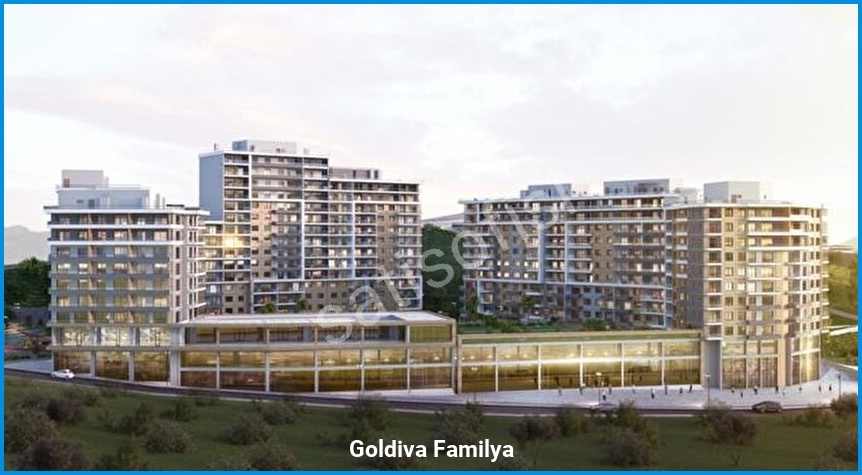 Goldiva Familya