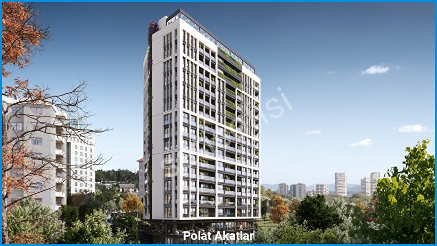 Polat Akatlar