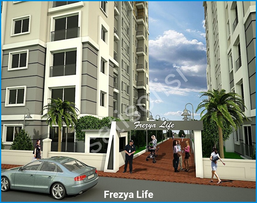 Frezya Life 2
