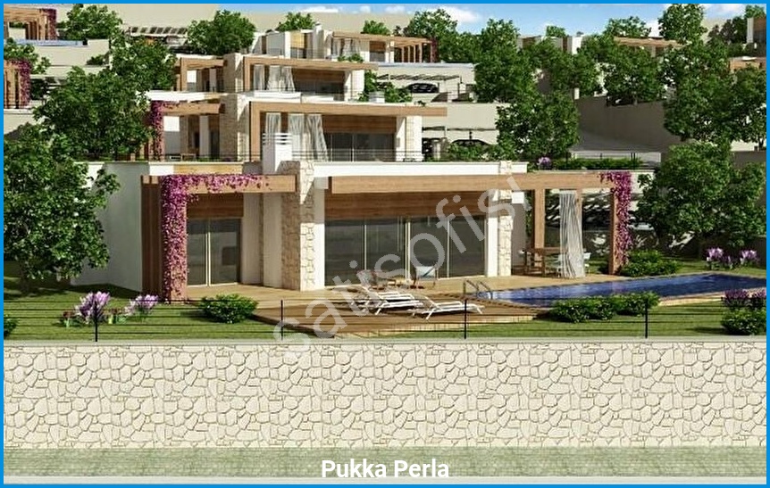Pukka Perla 3
