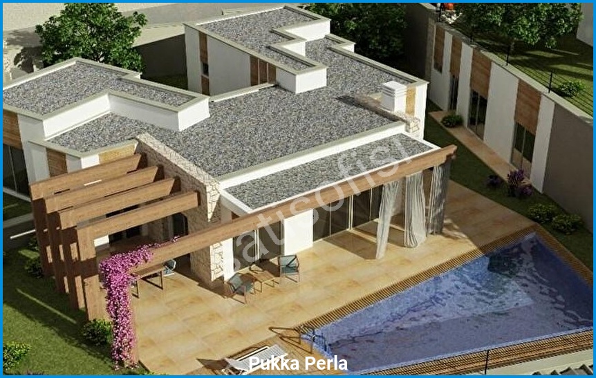 Pukka Perla 4