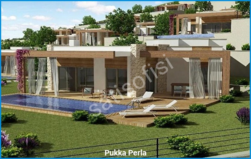 Pukka Perla 7