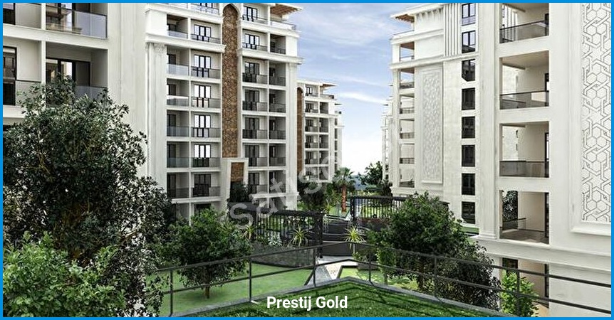 Prestij Gold 3
