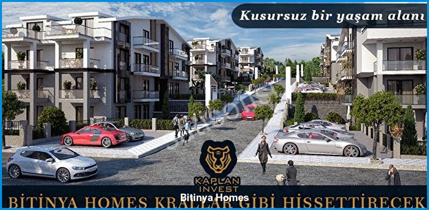 Bitinya Homes